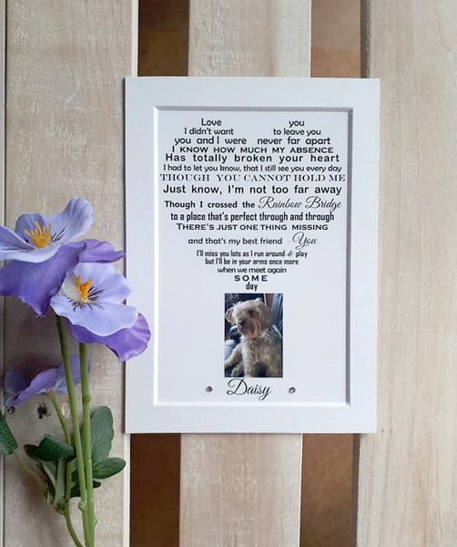 pet-sympathy-gift